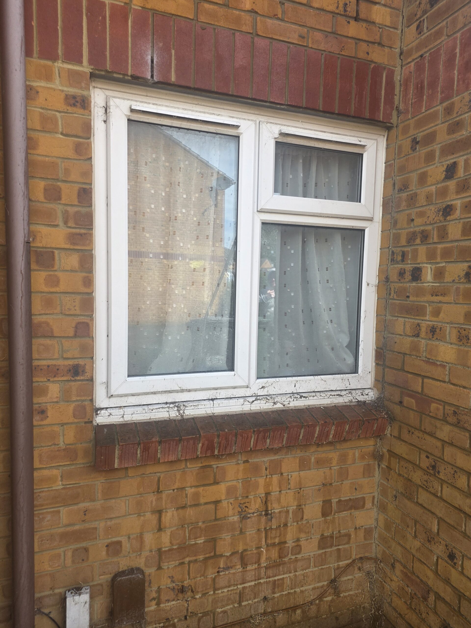 Before exterior cleaning by LARC Exteriors